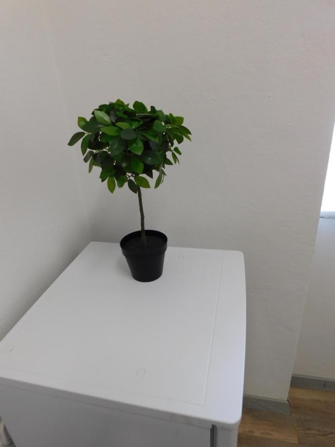 ليوبليانا Ledek Apartment المظهر الخارجي الصورة